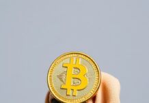 Cryptocurrency Chic: How Digital Transactions Are Revolutionizing Luxury Fashion Cryptocurrency Chic: How Digital Transactions Are Revolutionizing Luxury Fashion