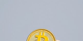 Cryptocurrency Chic: How Digital Transactions Are Revolutionizing Luxury Fashion Cryptocurrency Chic: How Digital Transactions Are Revolutionizing Luxury Fashion
